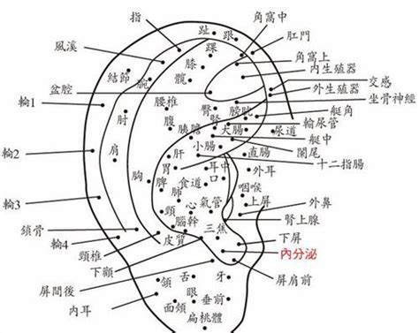 左耳廓有痣|面相：耳朵有痣算命圖解，全位置對照，看看你是哪一。